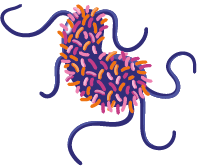icone ecoli