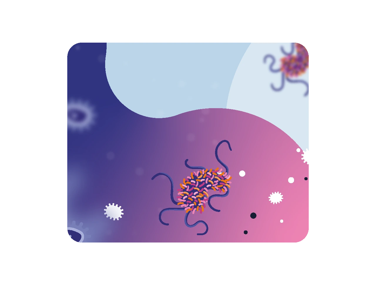 e.coli